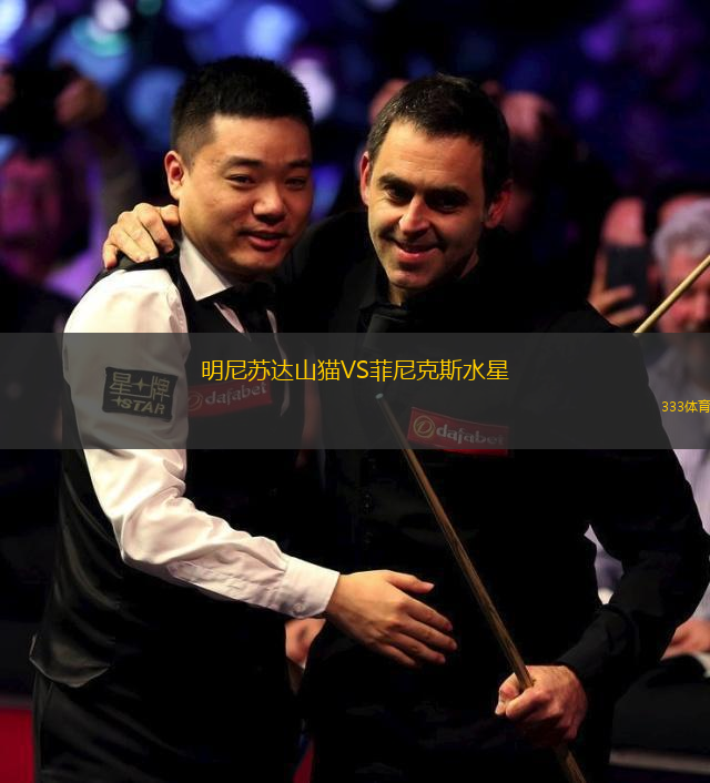 明尼苏达山猫VS菲尼克斯水星
