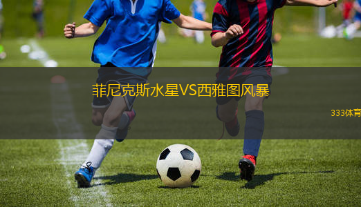 菲尼克斯水星VS西雅图风暴