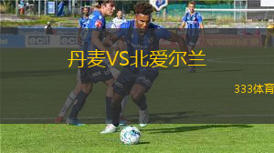丹麦VS北爱尔兰