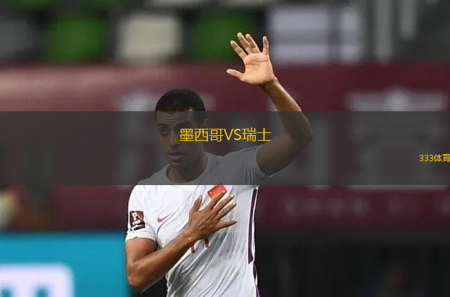 墨西哥VS瑞士
