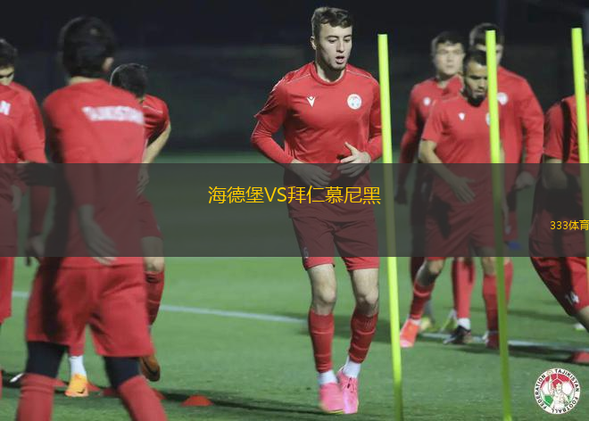 海德堡VS拜仁慕尼黑