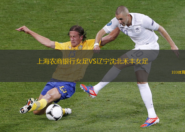 上海农商银行女足VS辽宁沈北禾丰女足