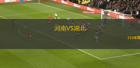 河南VS湖北