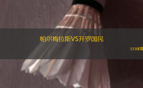 帕尔梅拉斯VS开罗国民