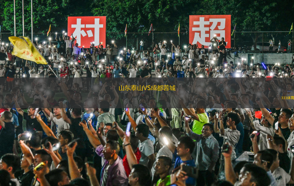 山东泰山VS成都蓉城