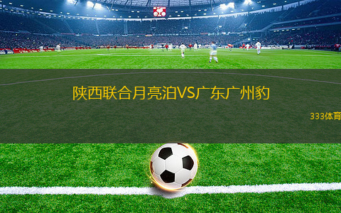 陕西联合月亮泊VS广东广州豹