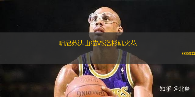 明尼苏达山猫VS洛杉矶火花