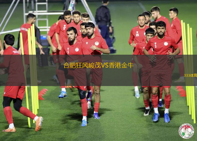 合肥狂风峻茂VS香港金牛