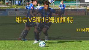 维京VS斯托姆加斯特