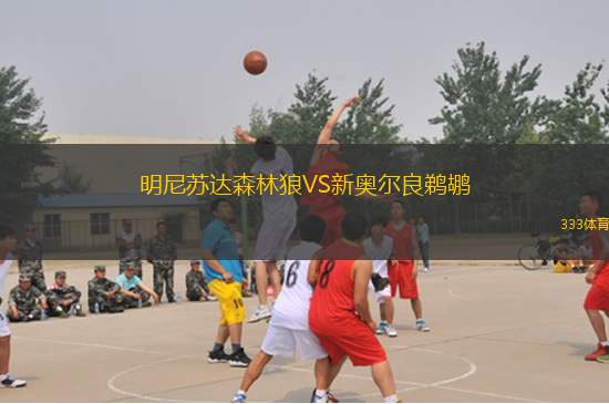 明尼苏达森林狼VS新奥尔良鹈鹕