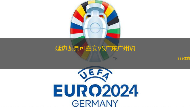 延边龙鼎可喜安VS广东广州豹