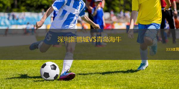 深圳新鹏城VS青岛海牛