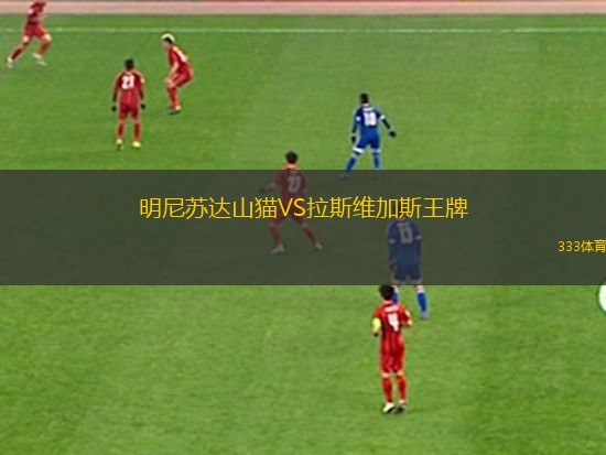 明尼苏达山猫VS拉斯维加斯王牌